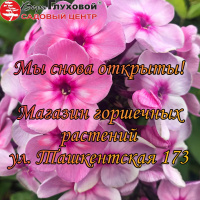 Открыт магазин на Ташкентской