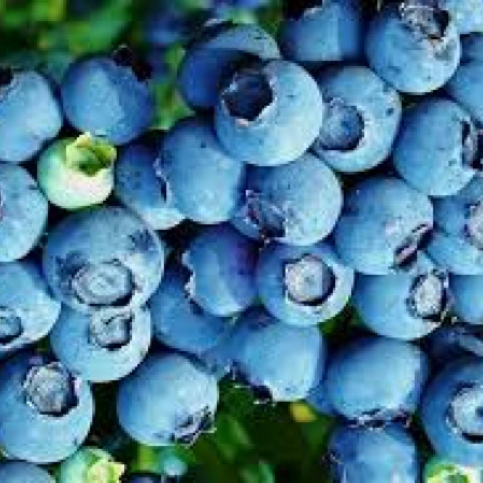 Основное изображение товара