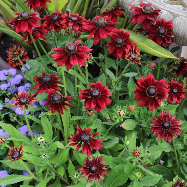 Основное изображение товара