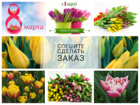 Новые тюльпаны в нашем Садовом Центре