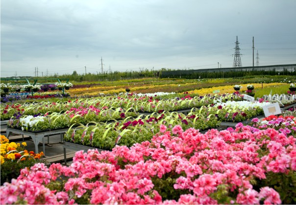 Для тех, кто ценит время, деньги и нервы Для тех, кто ценит время, деньги и нервы