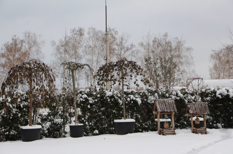 Наши садовые центры закончили работу в очередном сезоне 2016 года Наши садовые центры закончили работу в очередном сезоне 2016 года