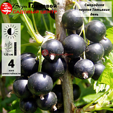 Основное изображение товара