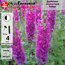 Основное изображение товара