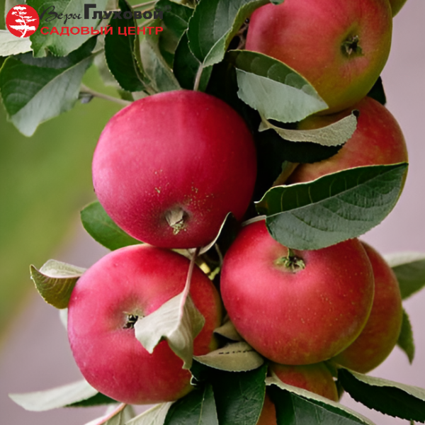 Рисунок 290.jpg