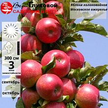 Рисунок 295.jpg