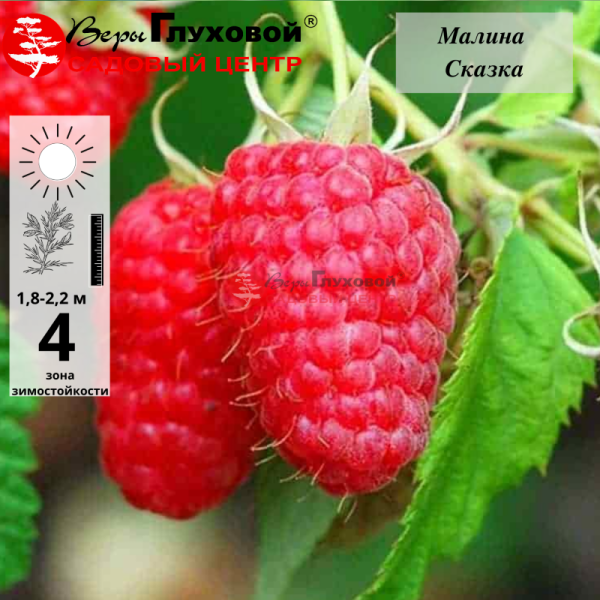 Основное изображение товара