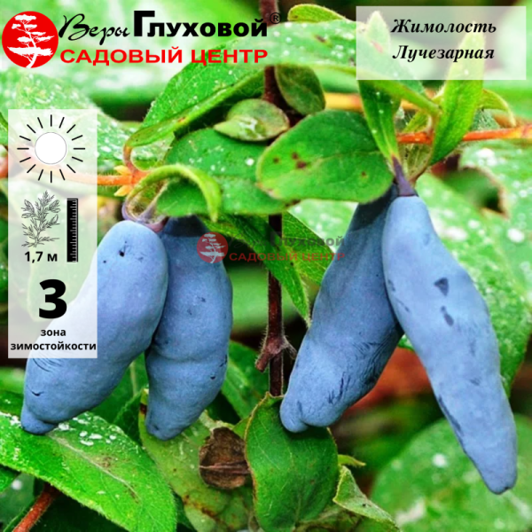 Рисунок 61.jpg