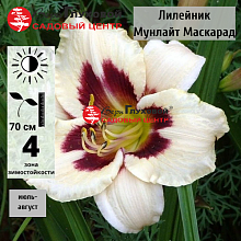 Основное изображение товара