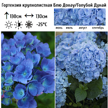 Основное изображение товара