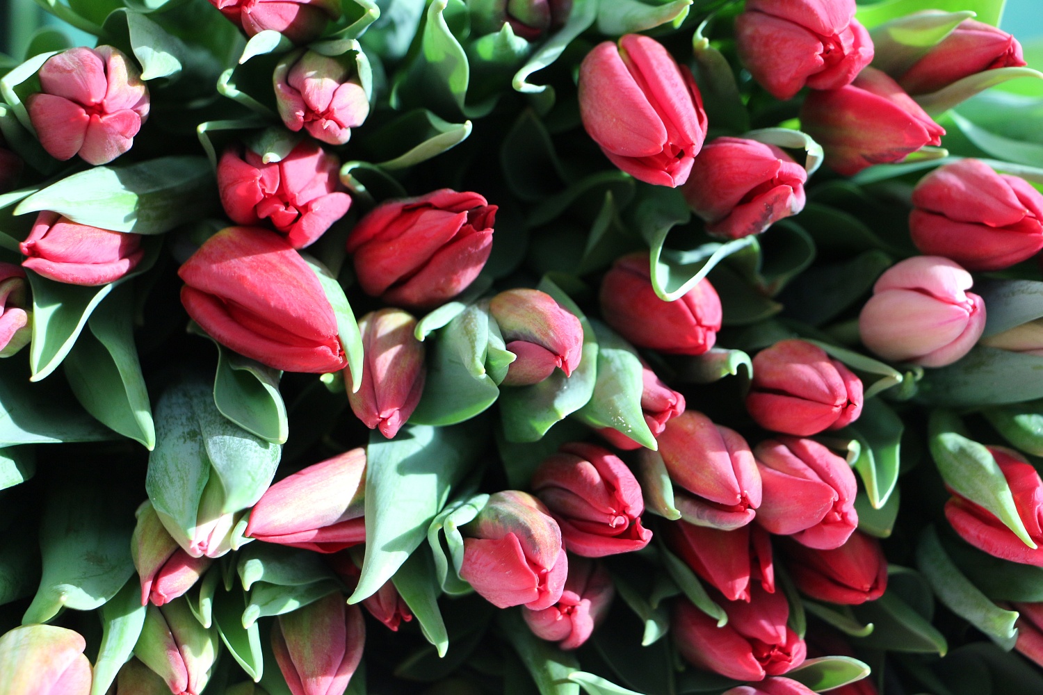 Срочная и очень хрустящая новость!