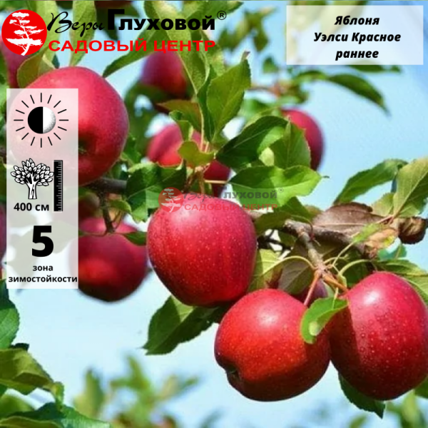 Рисунок 329.jpg